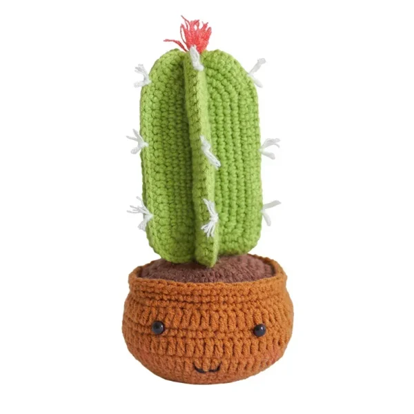 Knitting Kits for Adults with Cactus Plants - Image 5